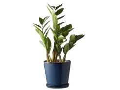 BITZ Skjuler -Leifheit Butik 11241 env 2 high