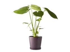 BITZ Skjuler -Leifheit Butik 11245 env 2 high