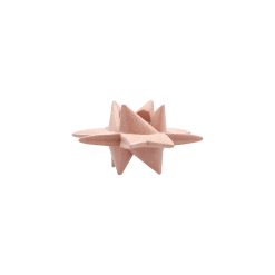 Medusa Copenhagen Stjerneskud Kalenderstage