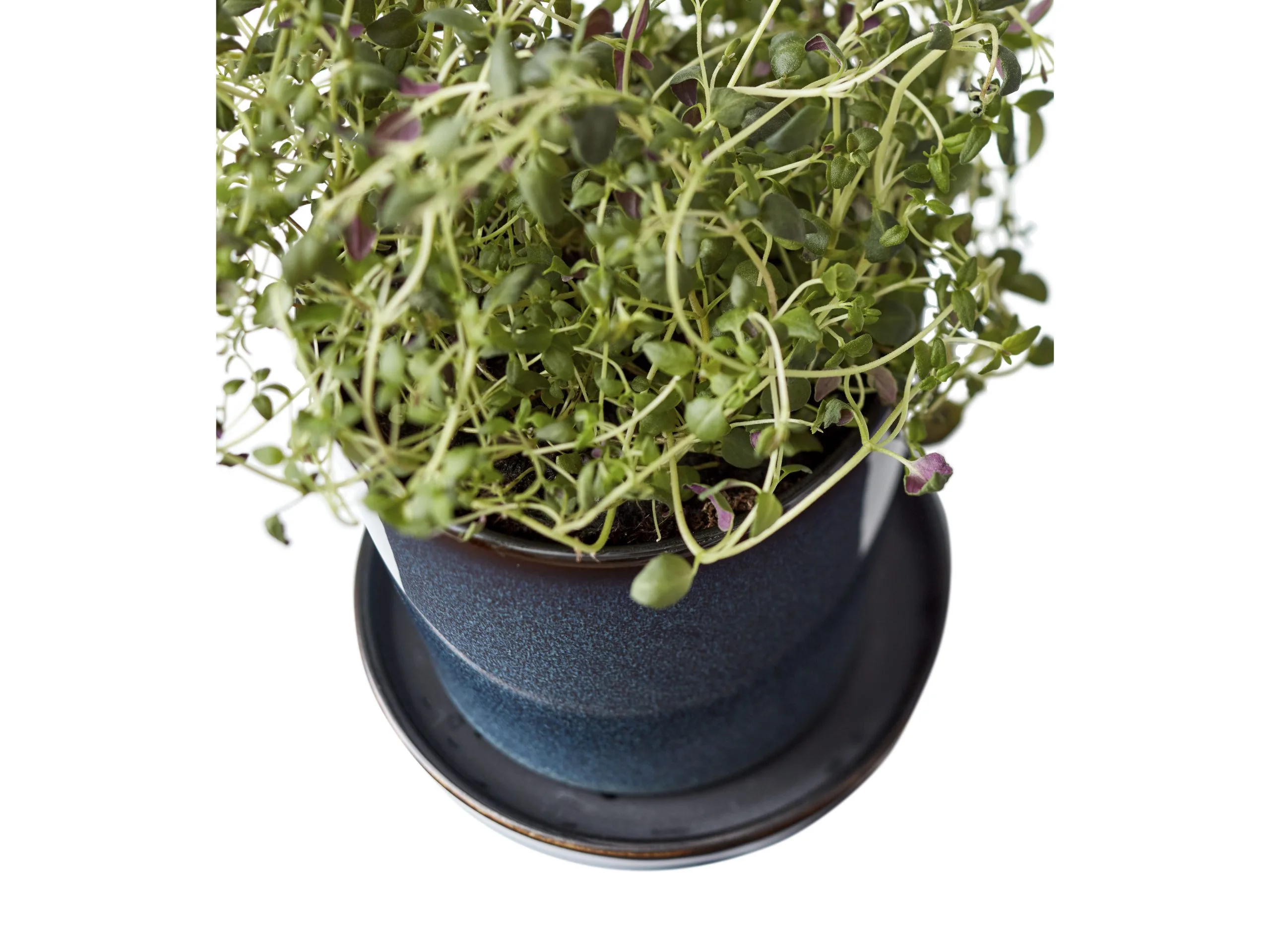 BITZ Skjuler 5 BITZ Skjuler - Billede 3