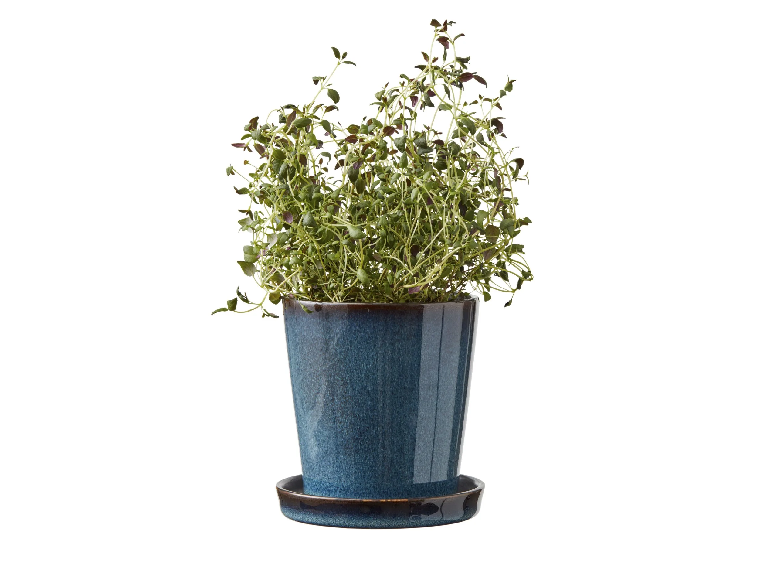 BITZ Skjuler 6 BITZ Skjuler - Billede 4