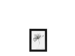 Still Fotoramme M. Bred Ramme -Leifheit Butik 969671 high