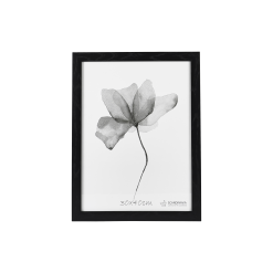 Still Fotoramme M. Bred Ramme