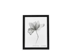 Still Fotoramme M. Bred Ramme -Leifheit Butik 969673 high