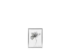 Still Fotoramme M. Smal Ramme -Leifheit Butik 969676 high