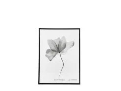 Still Fotoramme M. Smal Ramme -Leifheit Butik 969684 high